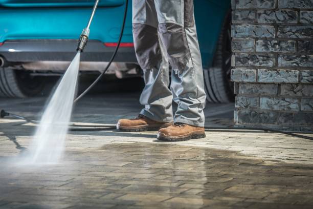 Best Roof Washing  in Hastings On Hudson, NY